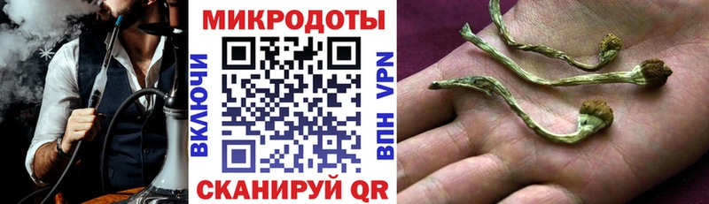 как найти закладки  Полтавская  Псилоцибиновые грибы мицелий 