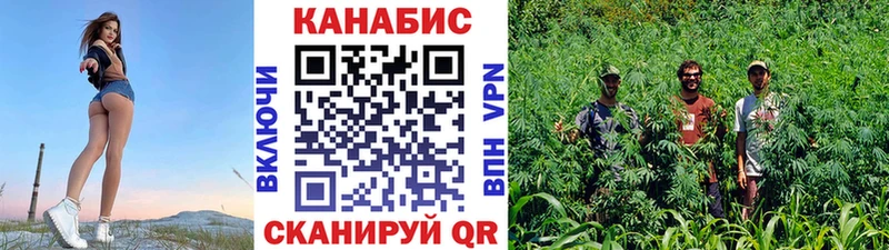 как найти наркотики  Полтавская  Каннабис OG Kush 